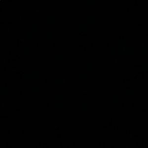 Meet your Posher, Wyatt